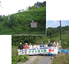 美咲町での森林再生・保育作業の写真